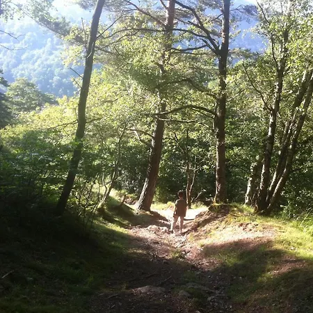 Yourte Et Son Bain Nordique Campismo de Luxo