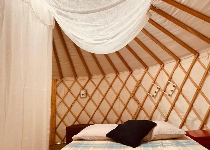 Yourte Et Son Bain Nordique Frechet-Aure