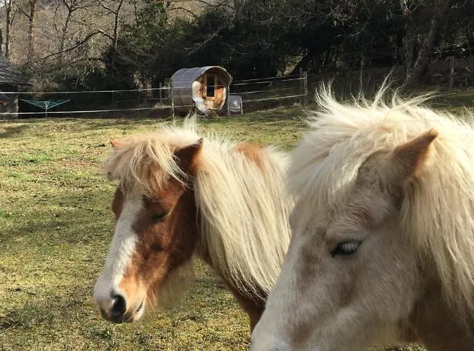 Yourte Et Son Bain Nordique *